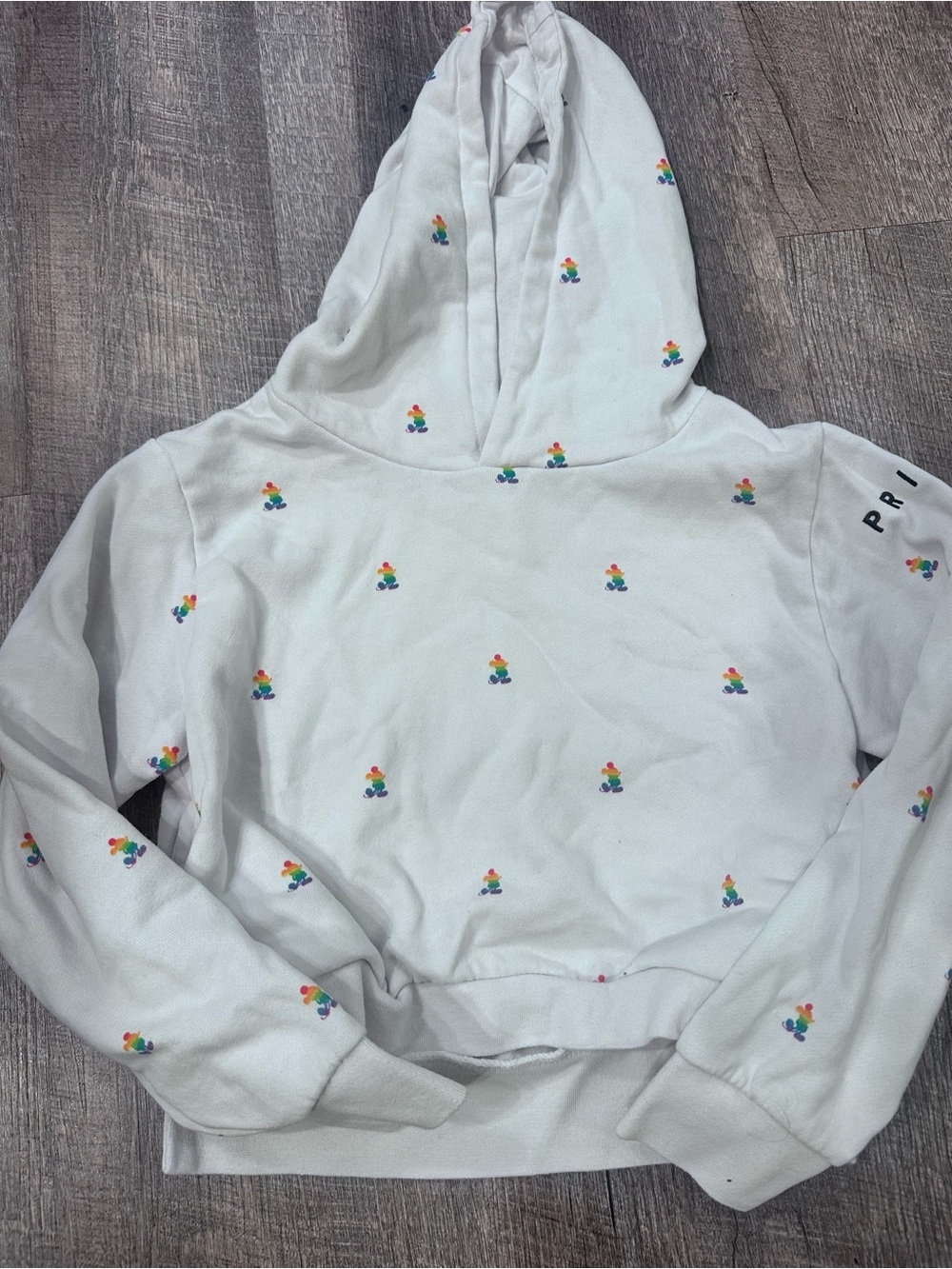Disney Pride Kids Hoodie